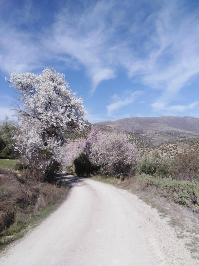 El Convento Vivienda Rural Jaen Andalucia Espana Carchelejo 외부 사진